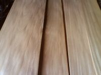 traders veneers and timber