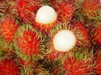 Fresh Rambutant