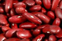  kidney beans  for sale