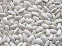 White beans  for sale
