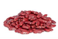 100% High Quality Red Kidney Beans