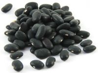 100% High Quality Black Kidney Beans