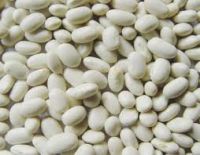 Dry Non-GMO alubia white kidney beans for sale