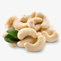 Dried Cashew Nuts W240