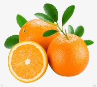 Fresh Citrus Fruits, Juicy Oranges, Navel, Valencia Oranges