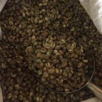 018 Robusta Coffee Bean  from lombok Island