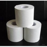 toilet roll tissue paper