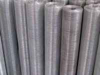 galvanized wire mesh