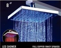 https://ar.tradekey.com/product_view/2014-Hot-Selling-Shower-Heads-6489858.html