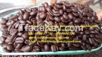 Roasted Robusta coffee Bean