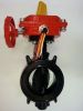 Butterfly Wafer Style valve FM approval  ULC listed