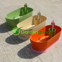 Biodegradable Vegetable Planting Set