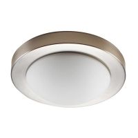 2014 NEW Ceiling Mount 12inch Opal Frosted Glass
