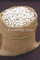 White kidney beans