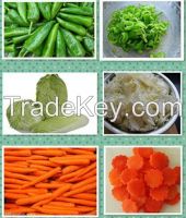 Universal vegetable cutter vegetable cutting machine carrot cutter celery cutter 