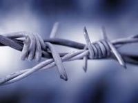 Barbed Wire