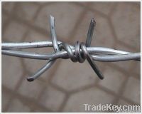 hot-dipped galvanized barbed wire/barbed wire factory