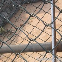 pvc coated fence mesh chain link woven mesh