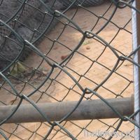 Holland wire mesh /The Dutch nets /Europe wire mesh  fence