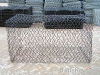 Chicken Wire Mesh/Hexagonal Wire Netting/Gabion Box