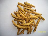 Organic Turmeric Finger