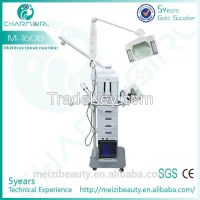 Stationary 19 In 1 Multifunction Beauty Equipment With Magnifying Lamp