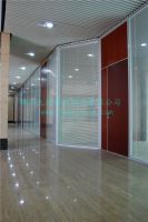 Glass Folding Door