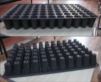 Thermoformed Plastic Seedling Tray 77 cells ROUND