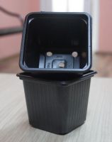 Thermoformed Plastic Pot 8*8*7