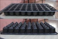 Thermoformed Plastic Seedling Tray  45 Cells
