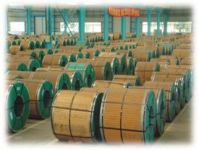 Stainless Steel Coil