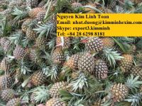 Fresh Pineapple Fruit