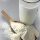 Dried skimmed milk powder