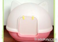 Cat Toilet