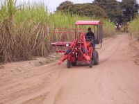 TAGRM SH5II sugarcane harvesting machine/combine harvester