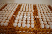 Farm Fresh Chicken Brown & White Table Eggs for Sale
