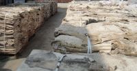 Dry and Wet Salted Donkey Hides - Best Prices and Best Quality