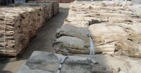 Salted wet and Dry Donkey hides