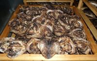 100% Dry Stock Fish From Norway best quality best offer