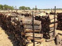 100% Oak Fire Wood for sale 