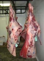 Frozen beef carcass