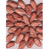https://fr.tradekey.com/product_view/Cocoa-Beans-6556317.html