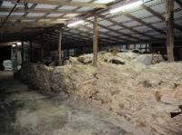 HIGH QUALITY WET SALTED COW AND CALF SKIN FOR SALE 