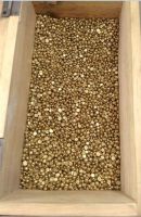 Gold Nuggets