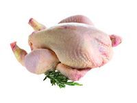 WHOLE FROZEN CHICKEN (HALAL / NON HALAL)