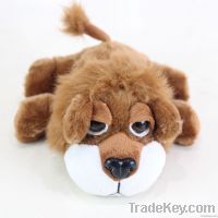 Most Welcomed Printed teddy bear dog