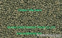 Chinese green coffee beans