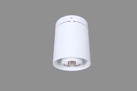 LED Ceiling Light