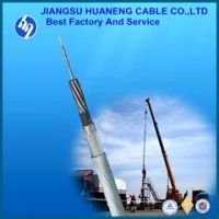 HUANENG SUYOU W7BPP-11.80 7-conductor PP insulated steel wire armored logging cable for oilfields