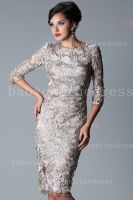 2013 Sexy Long Sleeveless Knee Length Formal Dresses Lace Sheath Mother Of The Bride Dresses From Babyonlinedress.com